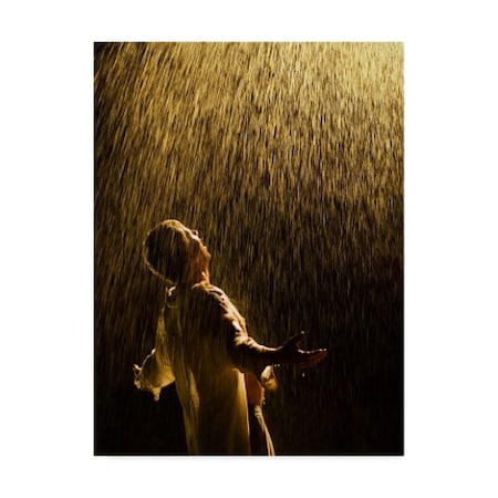 Lev Tsimring 'Hope Rain' Canvas Art,24x32